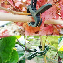 Load image into Gallery viewer, Reusable Garden Flower Lever Loop Gripper Clips