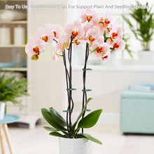 Load image into Gallery viewer, Reusable Garden Flower Lever Loop Gripper Clips