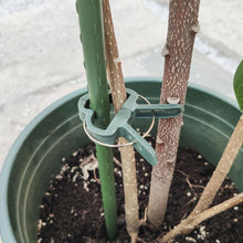 Load image into Gallery viewer, Reusable Garden Flower Lever Loop Gripper Clips