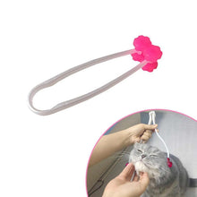 Load image into Gallery viewer, Hirundo Pet Face Massage Roller Relaxer
