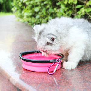 Magoloft 2-in-1 Pet Travel Water & Food Bottle with Foldable Bowl