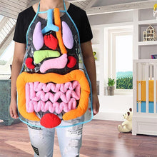 Load image into Gallery viewer, Body Anatomy Apron - An Educational Toy for Children
