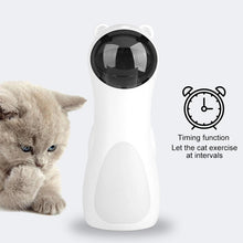 Load image into Gallery viewer, Funny Cat Toy
