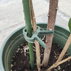 Reusable Garden Flower Lever Loop Gripper Clips