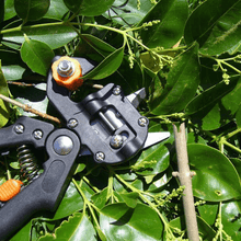 Load image into Gallery viewer, Professional Garden Grafting Tool Kit
