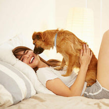 Load image into Gallery viewer, Hirundo Pro Guard Flea &amp; Tick Collar For Dogs
