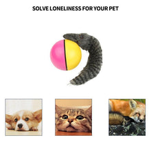 Load image into Gallery viewer, Weasel Ball For Pets
