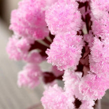 Load image into Gallery viewer, Magic Christmas Tree
